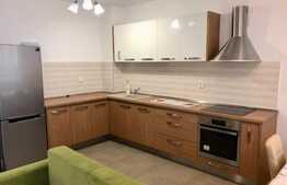 Apartament 2 camere, semidecomandat, modern,  53 mp, zona strazii Buna Ziua