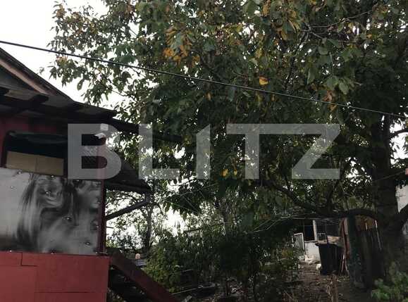 Casa de vânzare 5 camere Apahida - 41979CV | BLITZ Cluj-Napoca | Poza10