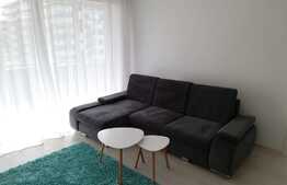 2 camere, 58 mp, terasa, prima inchiriere, zona Grand Park Rezidence