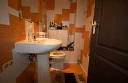 Duplex 260 mp utili, teren de 150 mp, finisat, mobilat, utilat, zona Aurel Vlaicu!