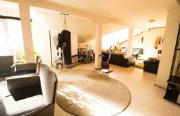 Duplex 260 mp utili, teren de 150 mp, finisat, mobilat, utilat, zona Aurel Vlaicu!