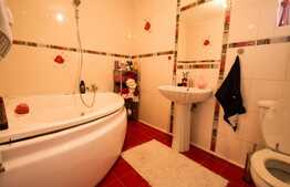 Duplex 260 mp utili, teren de 150 mp, finisat, mobilat, utilat, zona Aurel Vlaicu!