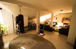 Duplex 260 mp utili, teren de 150 mp, finisat, mobilat, utilat, zona Aurel Vlaicu!