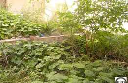 2 camere, 57 mp utili, terasa 27 mp