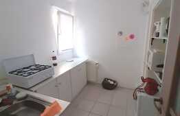 Apartament 2 camere, 58 mp, finisat, mobilat, zona Sora