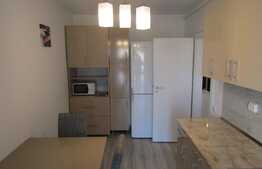 1 camera, 45mp, mobilat, imobil nou, zona strazii Fabricii 