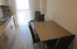 1 camera, 45mp, mobilat, imobil nou, zona strazii Fabricii 