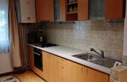 2 camere, 54 mp, finisat, mobilat, boxa, zona Spitalul de Recuperare