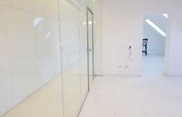 Birouri de lux pentru domeniul juridic si activitati conexe, 150 mp, UTILITATI INCLUSE, zona ULTRACENTRALA