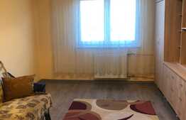 Garsoniera 22 mp, renovata recent, zona Expo Transilvania