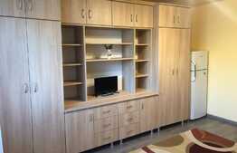 Garsoniera 22 mp, renovata recent, zona Expo Transilvania