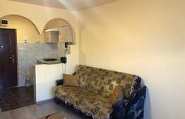 Garsoniera 22 mp, renovata recent, zona Expo Transilvania