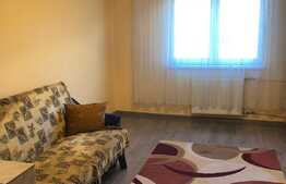 Garsoniera 22 mp, renovata recent, zona Expo Transilvania