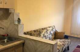 Garsoniera 22 mp, renovata recent, zona Expo Transilvania