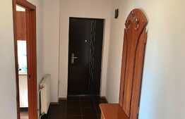Apartament 2 camere, spatios, zona Muzeul Apei!