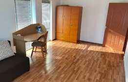 Apartament 2 camere, spatios, zona Muzeul Apei!