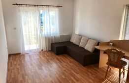 Apartament 2 camere, spatios, zona Muzeul Apei!