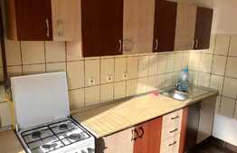 Apartament 2 camere, spatios, zona Muzeul Apei!