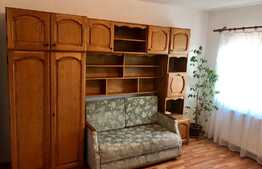 Apartament 2 camere, spatios, zona Muzeul Apei!