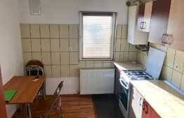 Apartament 2 camere, spatios, zona Muzeul Apei!