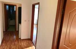 Apartament 2 camere, spatios, zona Muzeul Apei!