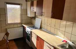 Apartament 2 camere, spatios, zona Muzeul Apei!