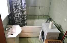 Apartament 2 camere, spatios, zona Muzeul Apei!