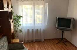 Apartament 2 camere, spatios, zona Muzeul Apei!