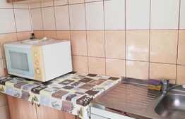 Apartament 2 camere, 40 mp, mobilat utilat, zona strazii Garbau