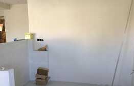 Apartament cu 2 camere, 53 mp ! Zona strazii Muzeul Apei! 