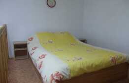Garsoniera, 40 mp, pet friendly, zona Ultracentrala