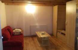 Garsoniera, 40 mp, pet friendly, zona Ultracentrala