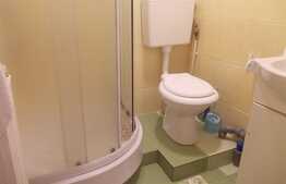 Garsoniera, 40 mp, pet friendly, zona Ultracentrala