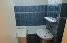 Garsoniera, 28 mp, mobilata, zona UMF