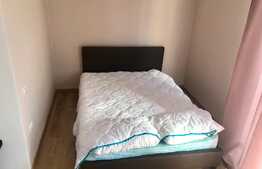 Garsoniera, loc de parcare, zona Tautiului!