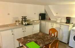 Garsoniera, loc de parcare, zona Tautiului!