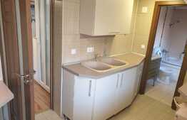 Apartament cu 2 camere, 65 mp, la casa cu acces la gradina, zona P-ta Cipariu