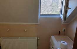 Apartament cu 2 camere, 65 mp, la casa cu acces la gradina, zona P-ta Cipariu