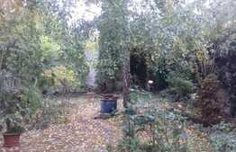 Casa individuala 180 mp construiti, teren 315 mp, front 9 m!