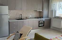 Apartament lux, prima inchiriere, terasa spatioasa, zona linistita