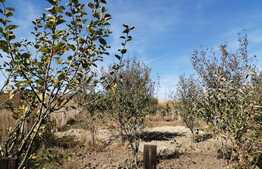 Casa noua individuala Valea Fanatelor Cluj