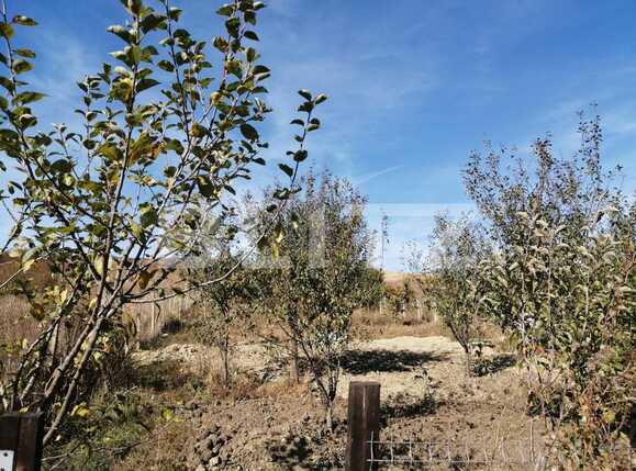 Casa de vânzare 3 camere Exterior Nord - 42167CV | BLITZ Cluj-Napoca | Poza18