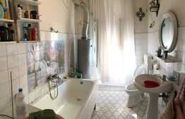 Daca vrei o bucata de istorie, am pentru tine 4 camere, 158 mp, terasa, gradina 832 mp in zona ultracentrala!