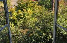 Daca vrei o bucata de istorie, am pentru tine 4 camere, 158 mp, terasa, gradina 832 mp in zona ultracentrala!