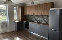 Apartament 3 camere, zona Teilor