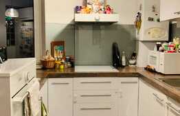 Apartament 3 camere, 80 mp, mobilat modern, zona USAMV