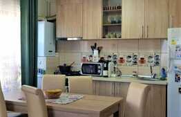 Apartament 2 camere, 46 mp, balcon, parcare, zona Petrom