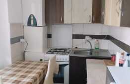 Apartament 2 camere, 45 mp., zona Terra