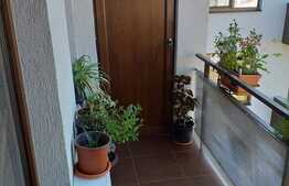 Apartament modern, acces restrictionat, confort, 2 balcoane, parcare, zona Somesului!