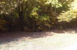 Casa finisata, 120 utili, 250 teren, zona de exceptie!